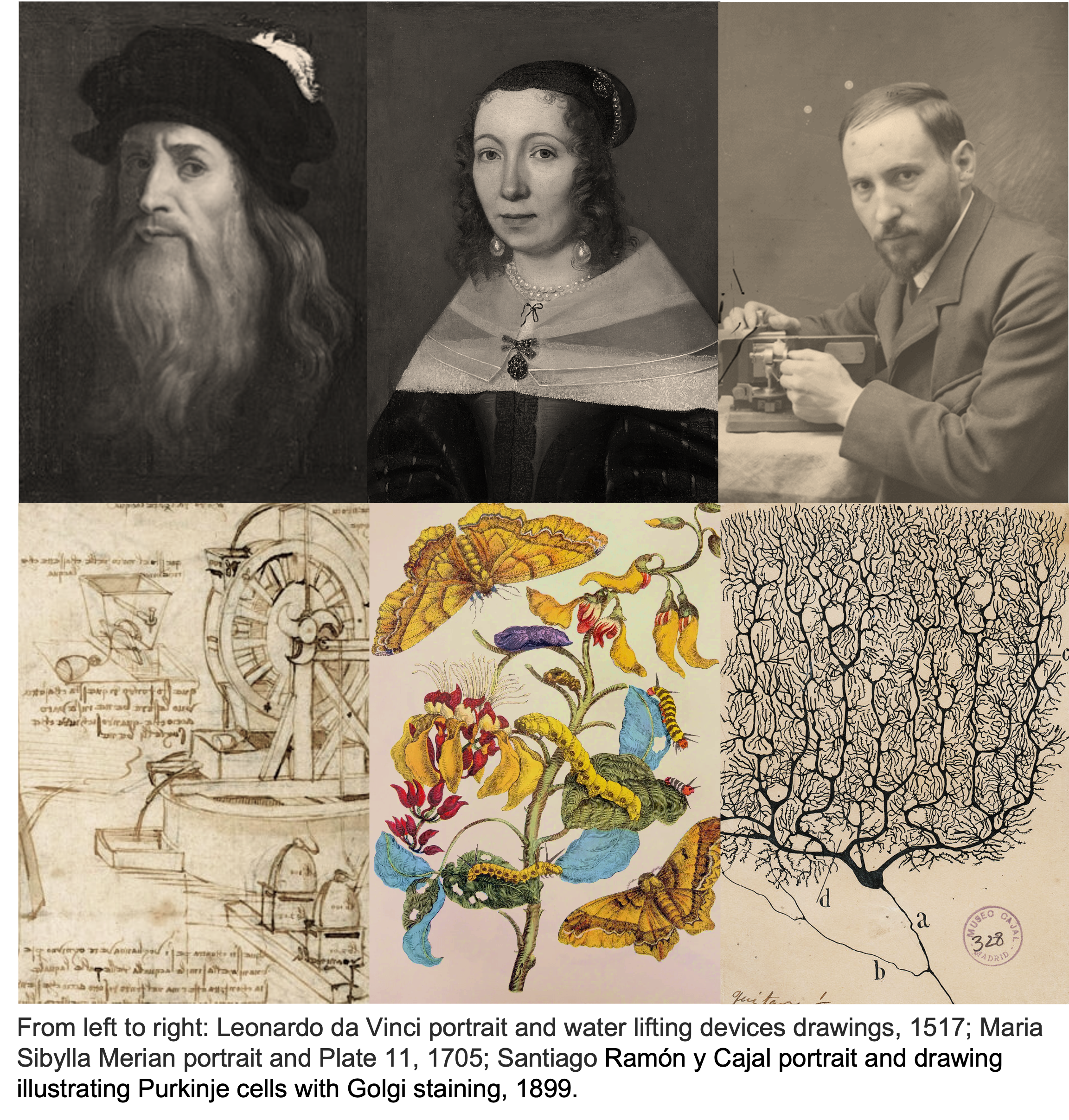 3 giants of art and science and their works