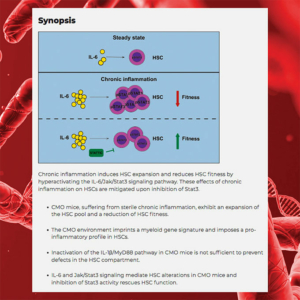 Chronic inflammation decreases HSC fitness by activating the druggable ...